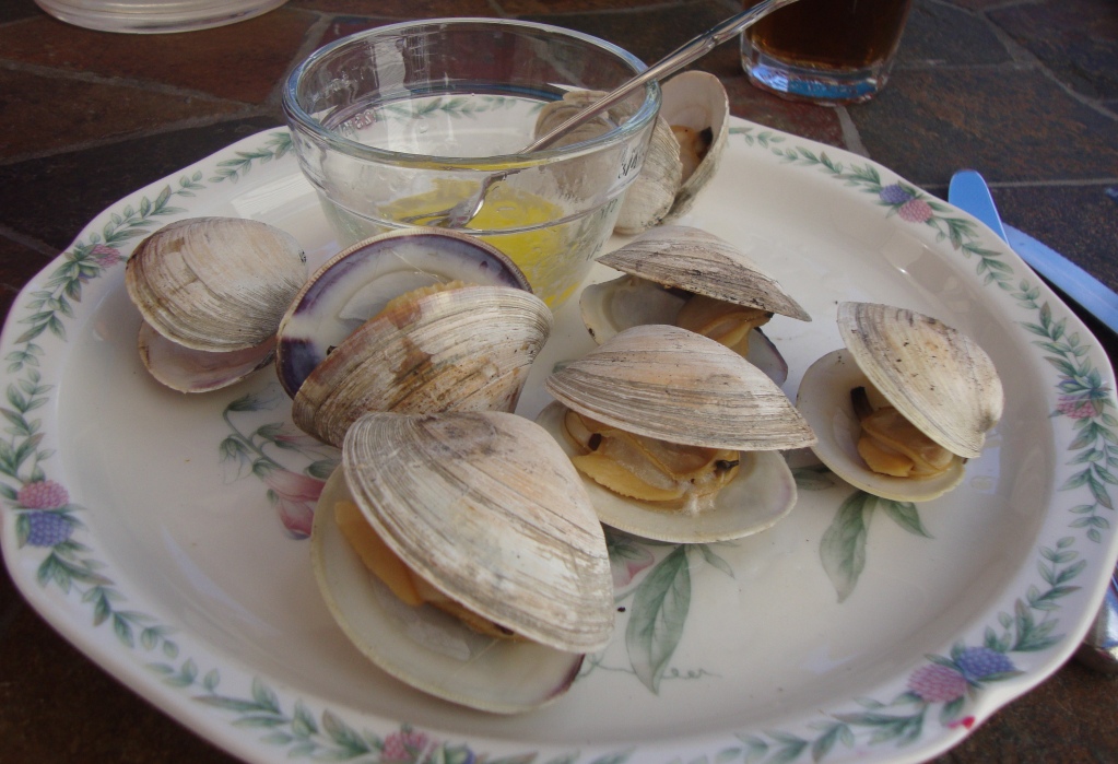 how to cook clam